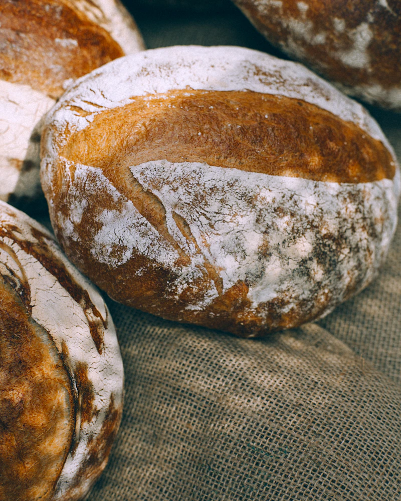 Miche de pain au levain farinée